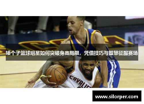 矮个子篮球明星如何突破身高局限，凭借技巧与智慧征服赛场